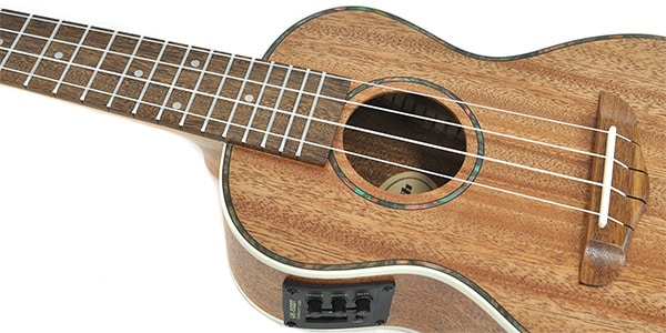 PLAYTECH / PUK201E画像4