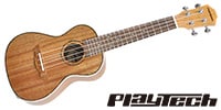 PLAYTECH / PUK201E