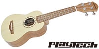 PLAYTECH / PUK302AB Spruce