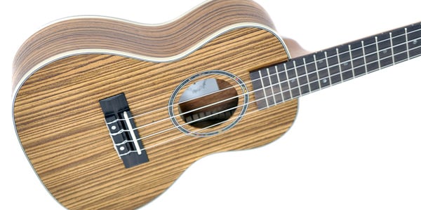 PLAYTECH / PUK350C Concert Zebra Concert Ukulele [with Gig Bag]画像3