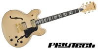 PLAYTECH / SA500 Flame Natural