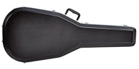 PLAYTECH / SA-DL for acoustic guitar
