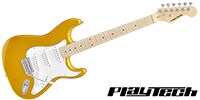 PLAYTECH ST250 Maple Gold