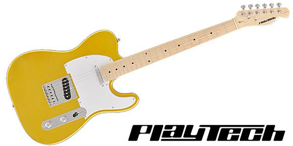 PLAYTECH/TL250 Maple Gold アウトレット品