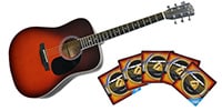 PLAYTECH / 【超お買得】ZD18 Sunburst+弦5パックセット