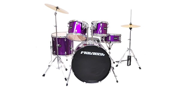 PLAYTECH(旧ZENN） ( プレイテックゼン )  / ZDS3000X Purple画像2