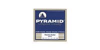 PYRAMID EG Pure Nickel .010-.046