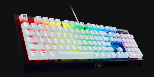Razer ( レイザー ) BlackWidow V3 Roblox Edition RZ03