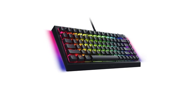 Razer / BlackWidow V4 75% RZ03-05000100-R3M1画像3