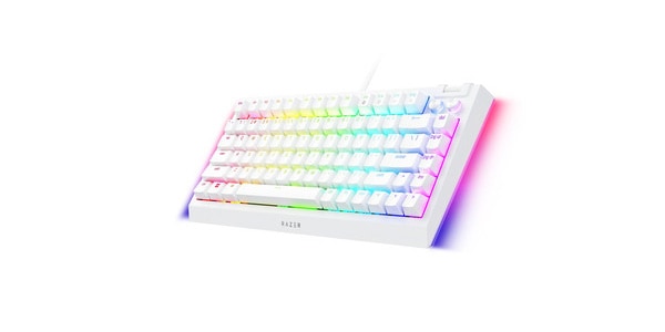 Razer / BlackWidow V4 75% (White Edition) RZ03-05001700-R3M1画像3