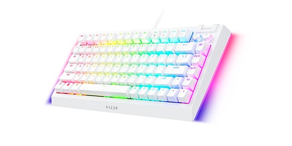 Razer / BlackWidow V4 75% JP (White Edition) RZ03-05002900-R3J1画像3