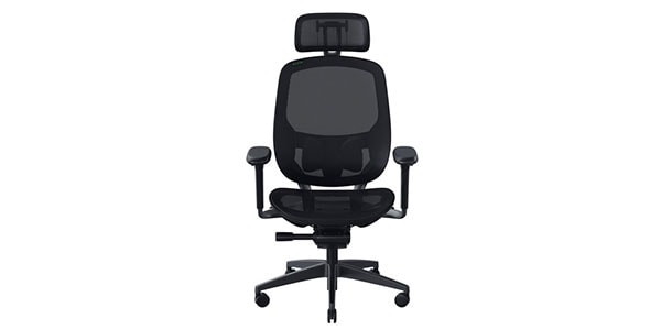 Razer ( レイザー )  / Fujin Pro