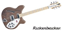 RICKENBACKER 360W