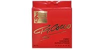 R COCCO / RC11A 6-String Acoustic bronze round wound