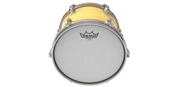 REMO ( レモ )  / 110TA-00　[BA-0110-00] コーテッドアンバサダー 10インチ 画像3
