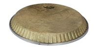 REMO / M2-1250-S6-D1003 Conga head SYMMETRY SKYNDEEP 12.50 "