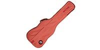 guitarplanet_ritter-rgb4-db-ant