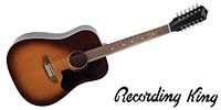 RECORDING KING / RDS-9-12-FE5-TS