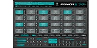 ROB PAPEN PUNCH 2