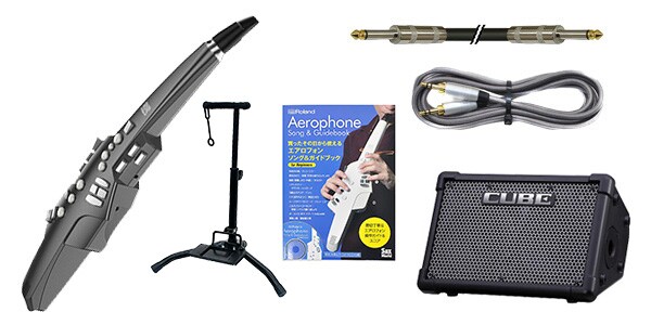 ROLAND/Aerophone AE-10G ストリートライブ入門セット