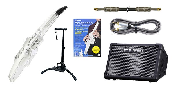 ROLAND/Aerophone AE-10 ストリートライブ入門セット