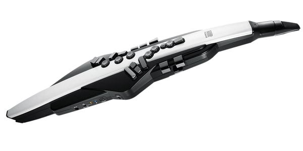 ROLAND ( ローランド ) AE-20 Aerophone エアロフォン パッチ
