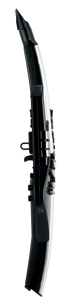 AE-30 Aerophone Pro ヘッドホンプレゼント