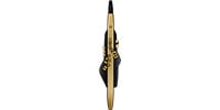 ROLAND / AE-30A Aerophone Pro Gold Limited Edition エアロフォンプロ