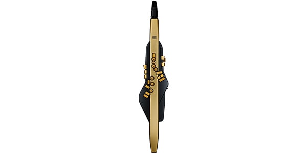 ROLAND ( ローランド )  / AE-30A Aerophone Pro Gold Limited Edition エアロフォンプロ