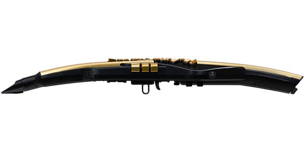 ROLAND ( ローランド )  / AE-30A Aerophone Pro Gold Limited Edition エアロフォンプロ画像2