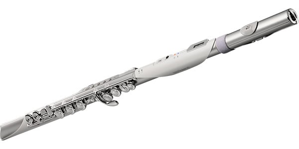 ROLAND ( ローランド )  / AE-BRISA Aerophone Brisa エアロフォン・ブリサ画像3