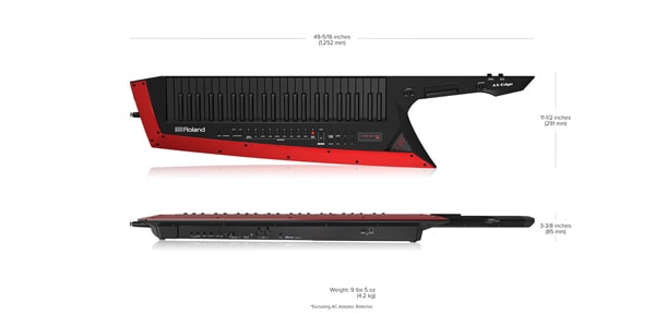 AXEDGEB 立奏用シンセサイザー、49鍵、ブラック 送料無料 | サウンドハウス