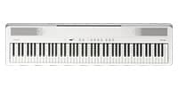 ROLAND / FP-40-WHB