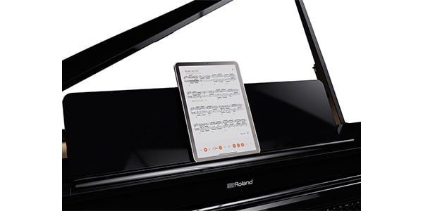 ROLAND ( ローランド )  / GP-6-PES画像12