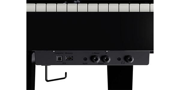 ROLAND ( ローランド )  / GP-6-PES画像14