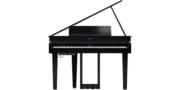ROLAND ( ローランド )  / GP-6-PES画像6
