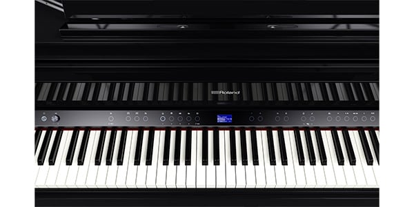 ROLAND / GP-9-PES画像10