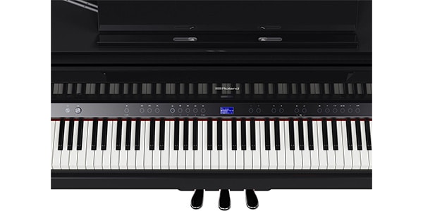 ROLAND / GP-9-PES画像12