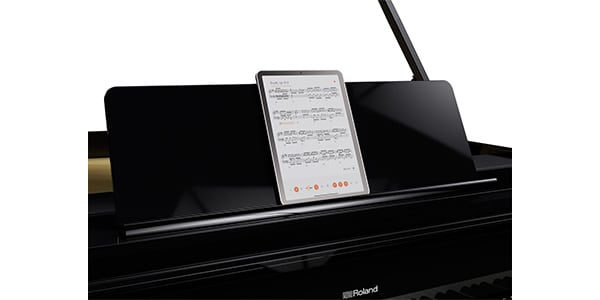ROLAND / GP-9-PES画像14