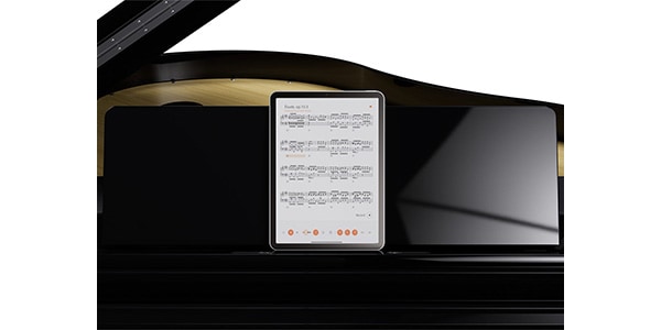 ROLAND / GP-9-PES画像15