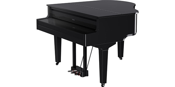 ROLAND / GP-9-PES画像2