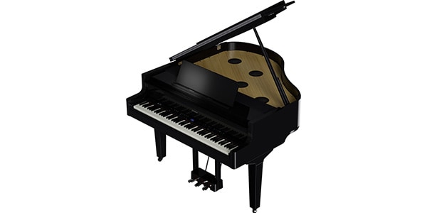 ROLAND / GP-9-PES画像3