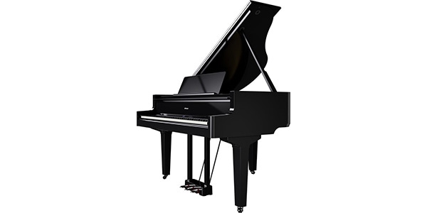 ROLAND / GP-9-PES画像4