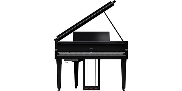 ROLAND / GP-9-PES画像6