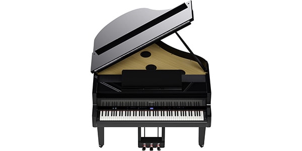 ROLAND / GP-9-PES画像7