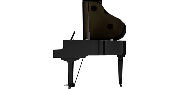 ROLAND / GP-9-PES画像8