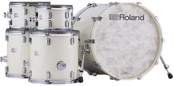 ROLAND / KD-22-SW
