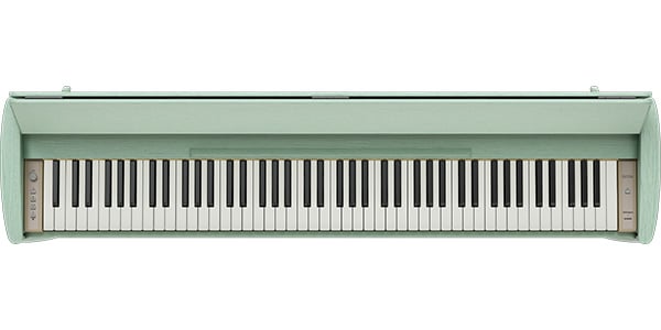 ROLAND / KIYOLA KF-20-KG セラドングリーン画像12