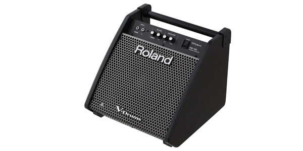 ROLAND ( ローランド ) / PM-100
