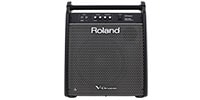 ROLAND PM-200